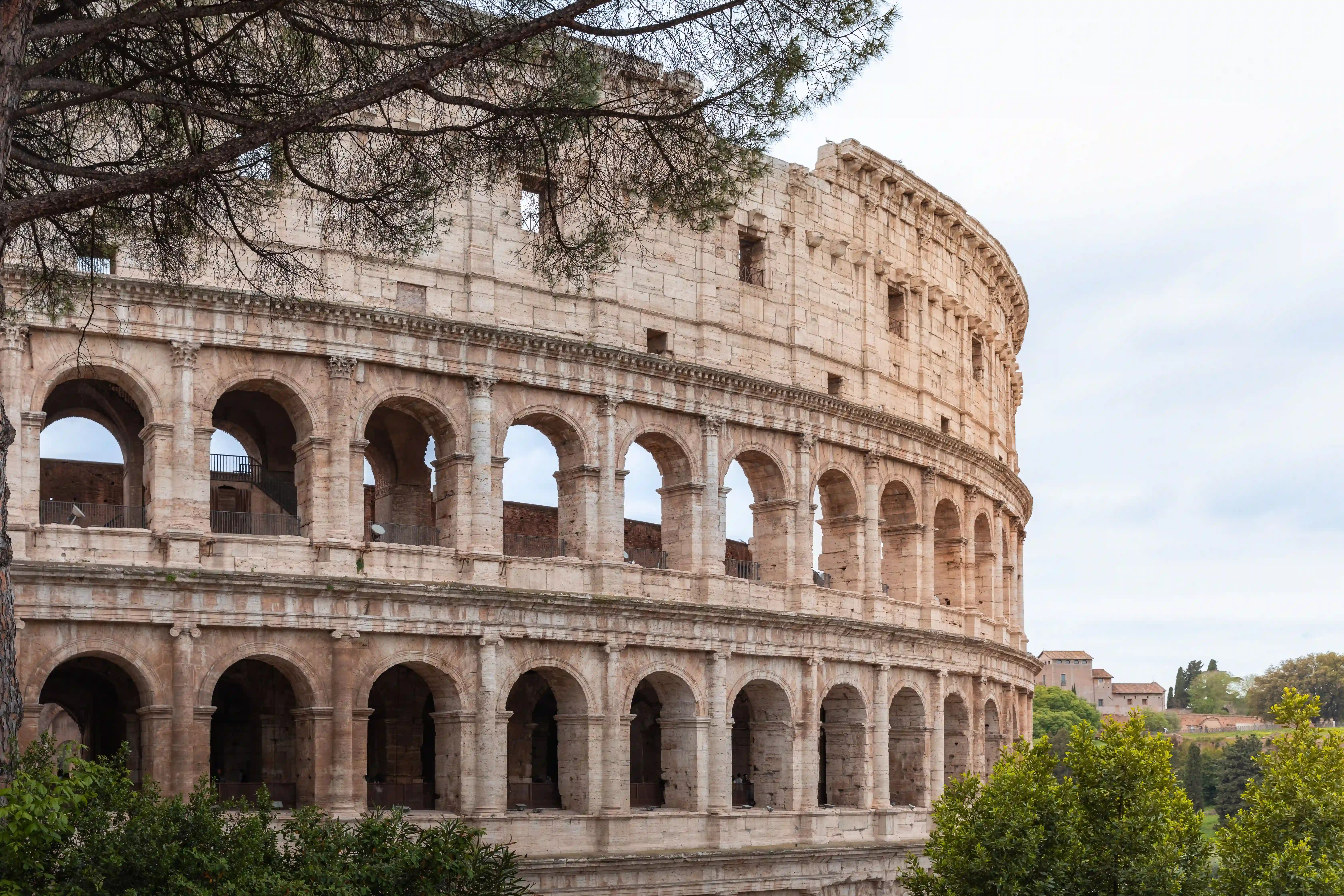 Coliseo de Roma, Foro Romano y Palatino